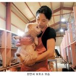 소중한 생명들..반려동물 키울 <b>사정</b>이 안된다면 제발 버리지 말고...