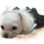 [<b>하늘</b>강아지] 무지개다리 건넌 아이