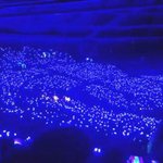 [위너] 인서들~