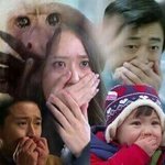 [EXO] 나 비<b>위약</b>한디 둘기즈 사진 작작해
