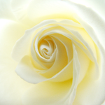 국제위러브유운동본부(iwf,회장 장길자) 헌혈하난둘운동에 <b>멕시코시티</b>...