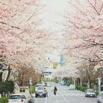 [EXO] 고딩들 있냐고 물어본 애인데