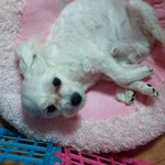 <b>졸</b><b>귀</b>