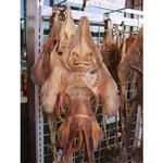 [EXO] 스밍안돌리는새끼들