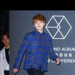 [EXO] 만두노리는 곰.<b>jpg</b>