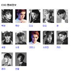 [EXO] 초록창 <b>플필</b> 둘기즈때메 애들 한화면에 안나옴