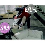 [EXO] 온라인에서앨범포카포스터<b>선택</b>권없음?