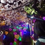 [EXO] 오늘 <b>커플들</b> 존나 많이보고옴