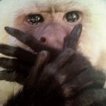 [모든팬덤] <b>vip</b>ㅜㅜㅜㅜㅜ