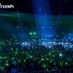 [오핫] 세계적인 경험을 제공하는 하이네켄 vs 날개를 달아주는...