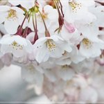 이천 복음방 이천 <b>시민</b>들에게 희소식!!