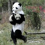 [EXO] 새로 데뷔한 <b>가수들</b> 많구나