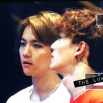 [EXO] ㅅㅂ 니들 종대 <b>피어싱</b>한거아냐