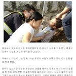 [콜로라도] 대륙의 <b>중매</b>결혼