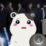 [EXO] 담주에 <b>미스</b>비가일등 할수있다는 불안감 나만 드냐