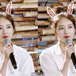 [<b>수지</b>] 솔직히 <b>수지</b>