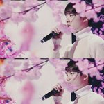 [EXO] 와 이캡쳐홈 캡쳐<b>존</b><b>예</b>다ㅜㅜㅜㅜㅜ