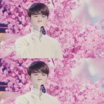 [EXO] 배큥이 <b>수준</b>