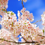 잘<b>자요</b>.