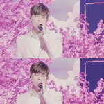 [EXO] 아까 봄분위기 원본임