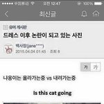 [댓글부탁해] 엄청 <b>혼돈</b>와..