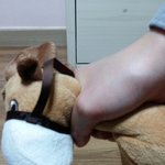 [댓글부탁] 내 친구가 동물<b>학대</b>를..