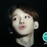 [EXO] 레이 계속 시강이더라 ㄷㄷ