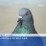[EXO] ㅅㄷ 나 친구랑 싸웠는데