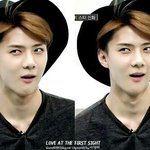 [EXO] 질문한년들 당당하게 얼굴들고 학교<b>다닐</b>생각하니까