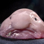 [EXO] 못생긴애들이 더한다더니..