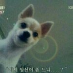 [EXO] 적당히 <b>하자</b> 애들아