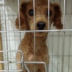 [길순나르] 길순이와 <b>나르</b> 이야기1