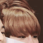 [EXO] 나 양8띵 닮았다는데 <b>칭찬</b>이니