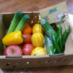 엄마들이 장시간 게임해도 욕안하는 게임