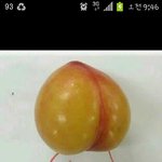 [EXO] 걍 오늘 존나아까운거 경수애교 또 못본거