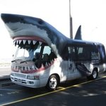 독특한 모양의 신기한 <b>버스들</b>