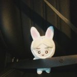 [EXO] 면<b>토끼</b><b>인형</b> 사고싶음