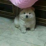 [댓글부탁해] 다들 싫어하는 친구 <b>유형</b>말해줘
