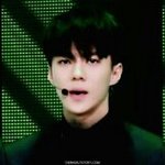 [EXO] 아오 ㅂㅎ팬들아ㄹㅇ