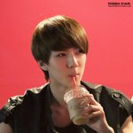 [훈<b>세오</b>] 오미자
