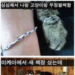 우리가 반려<b>동물</b>을 키우는 이유