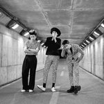 바스타즈로 유닛하는 블락비 피오,<b>비범</b>,유권