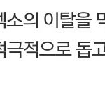 [EXO] 아 뭐야ㅋㅋㅋㅋ에셈이 개인회사 설립해준거라잖아
