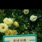 [EXO] 타오로 물타기하지마 악개년아ㅋㅋㅋㅋ