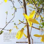 [댓글부탁해] 응원? 받고 싶어서 글을 올립니다