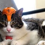 [EXO] 야 내가 좀 이상한걸 <b>발견</b>했는데 