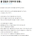 [EXO] 야 진짜야 고양이 귤냄새 싫어한대 