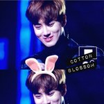 [EXO] 이번주 인가