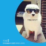 [강아지] <b>반려동물</b> 어플 뭐 사용하시나요~??
