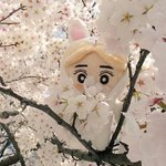 [수호] 면토끼 너무갖고싶다ㅠㅠㅠ+양도좀..
